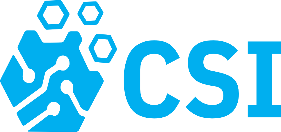 CSI SOLUTIONS © 2026 - Todos os direitos reservados.